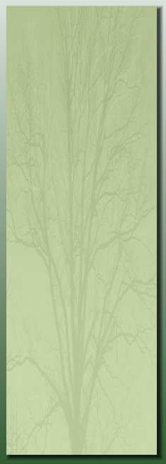 peacesite001029.jpg